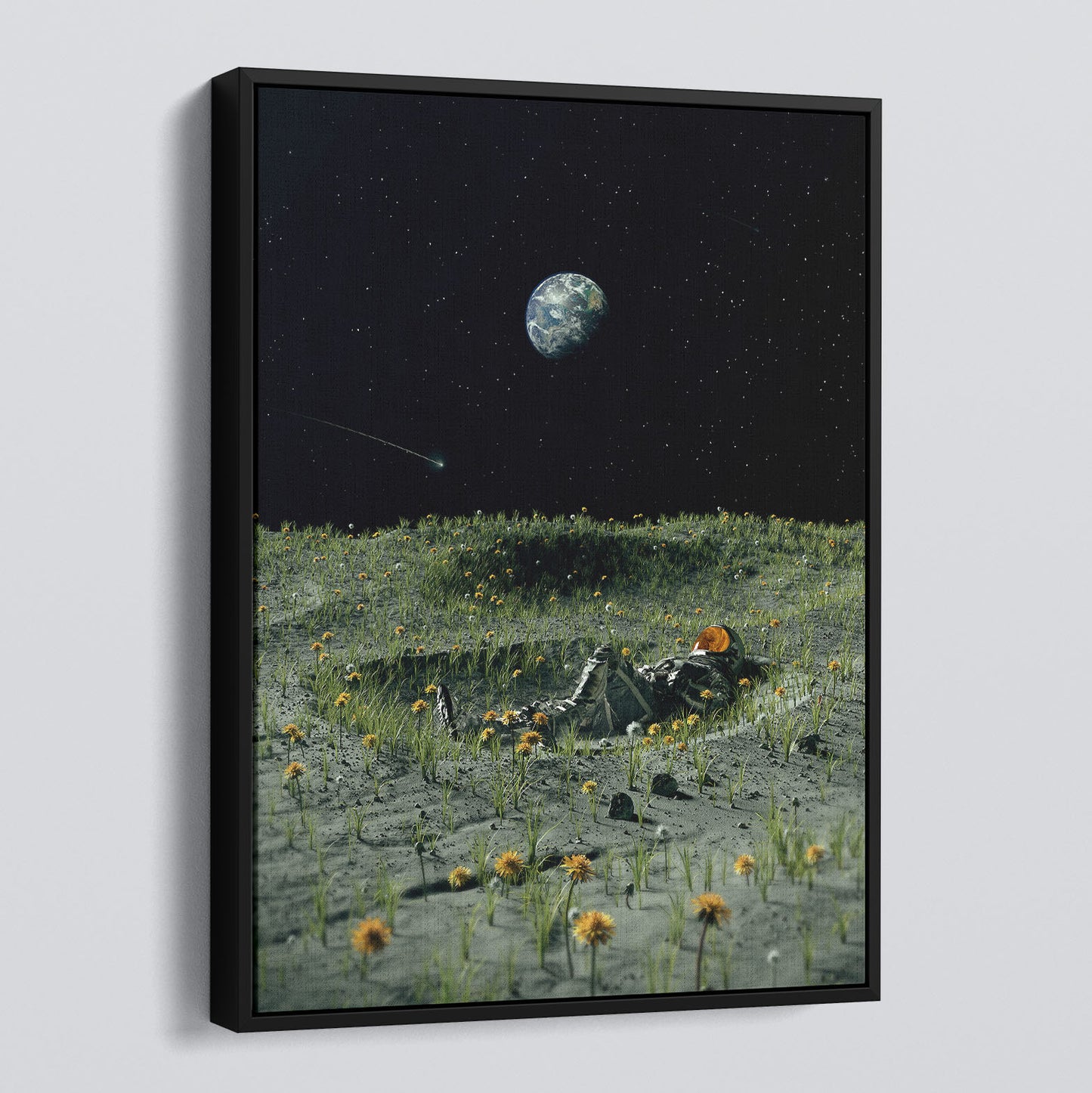 A New Home - Gallery Grade Canvas In Floating Frame by Nicebleed