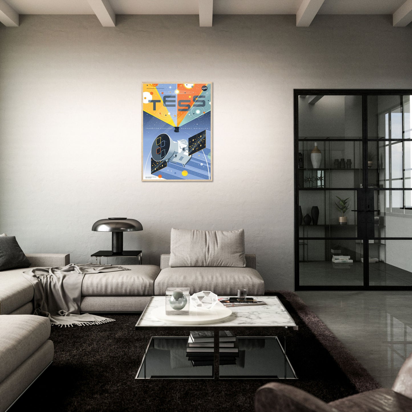 TESS Space Telescope NASA Poster