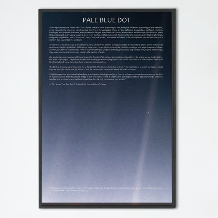 The Pale Blue Dot Poster