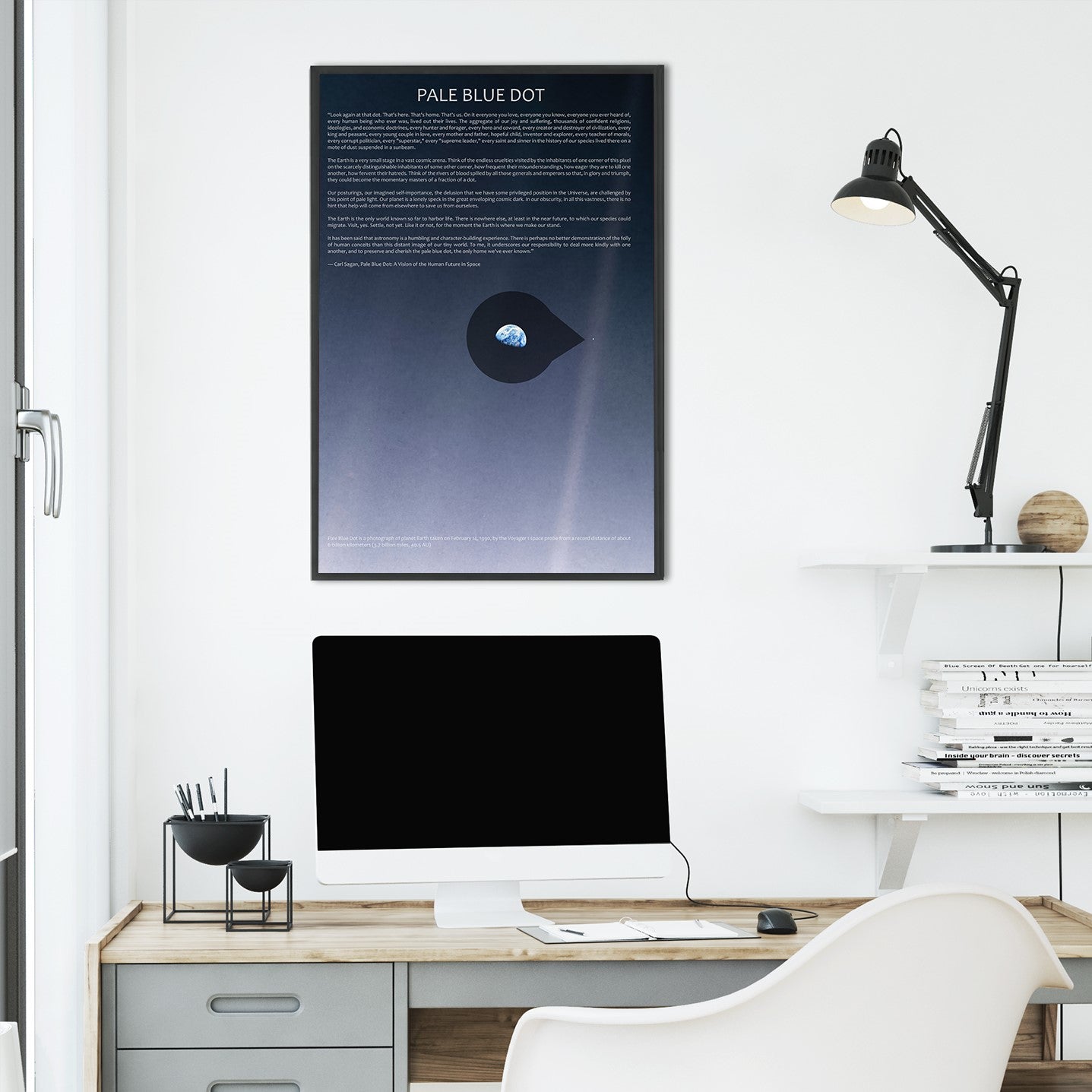 The Pale Blue Dot Poster