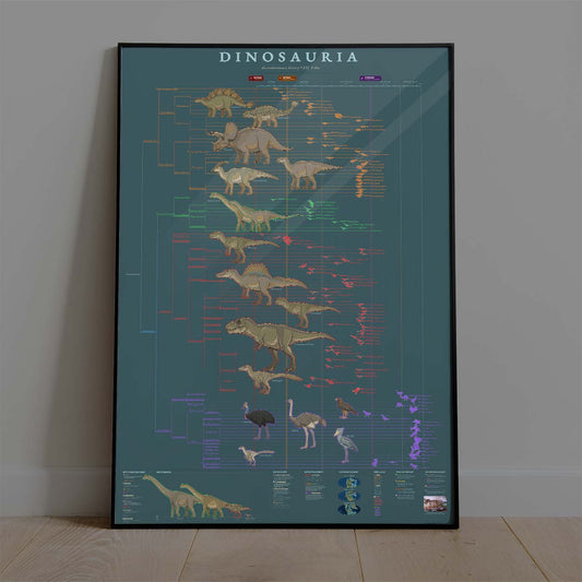 Dinosauria Evolutionary History – Dinosaur Cladogram Poster