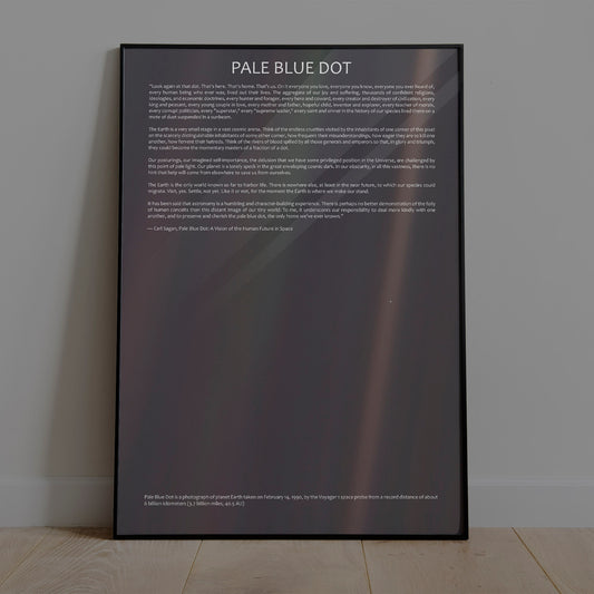 The Pale Blue Dot Poster
