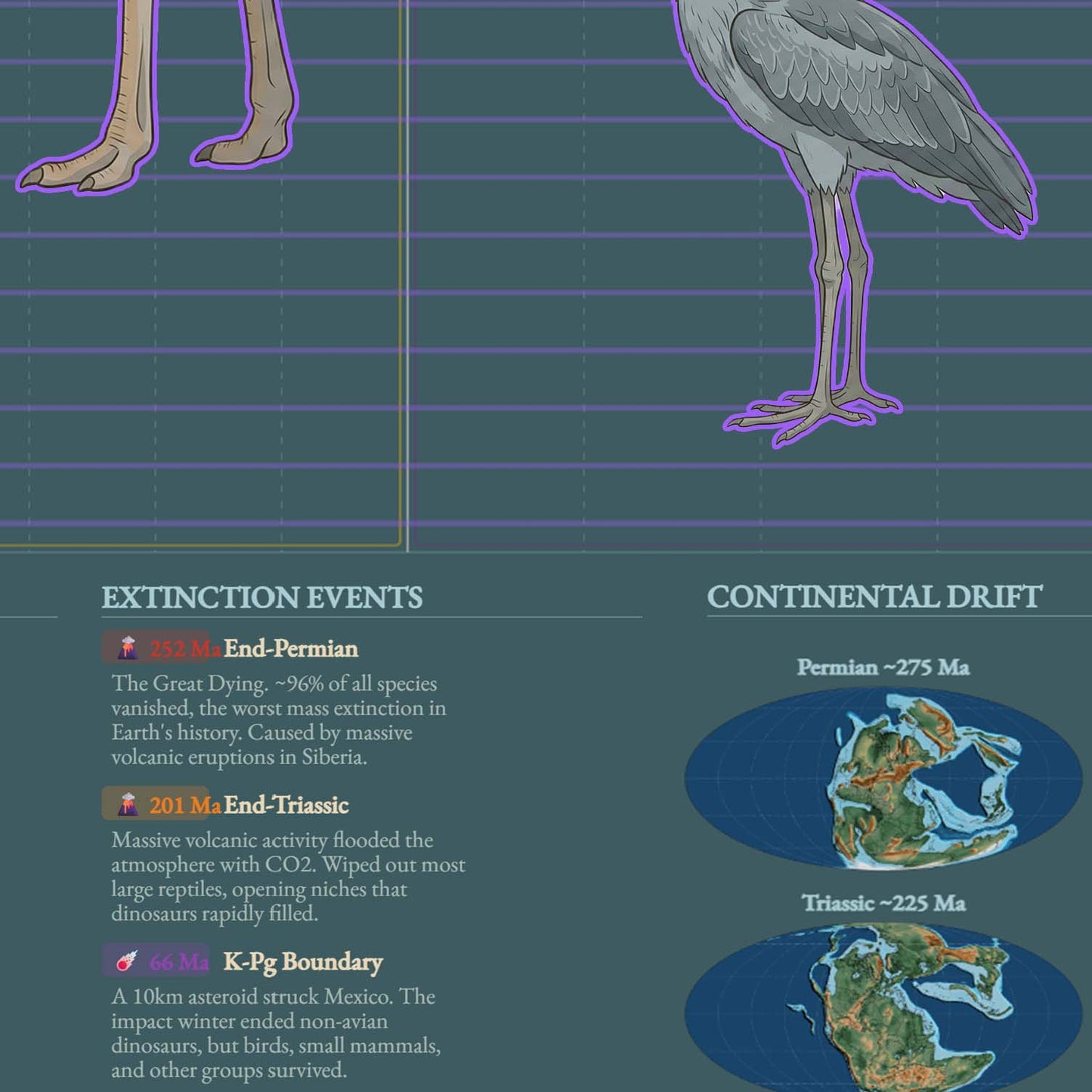 Dinosauria Evolutionary History – Dinosaur Cladogram Poster