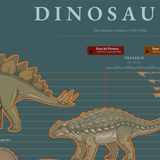 Historia evolutiva de Dinosauria - Cladograma de dinosaurios (Póster en Español) 🇪🇸