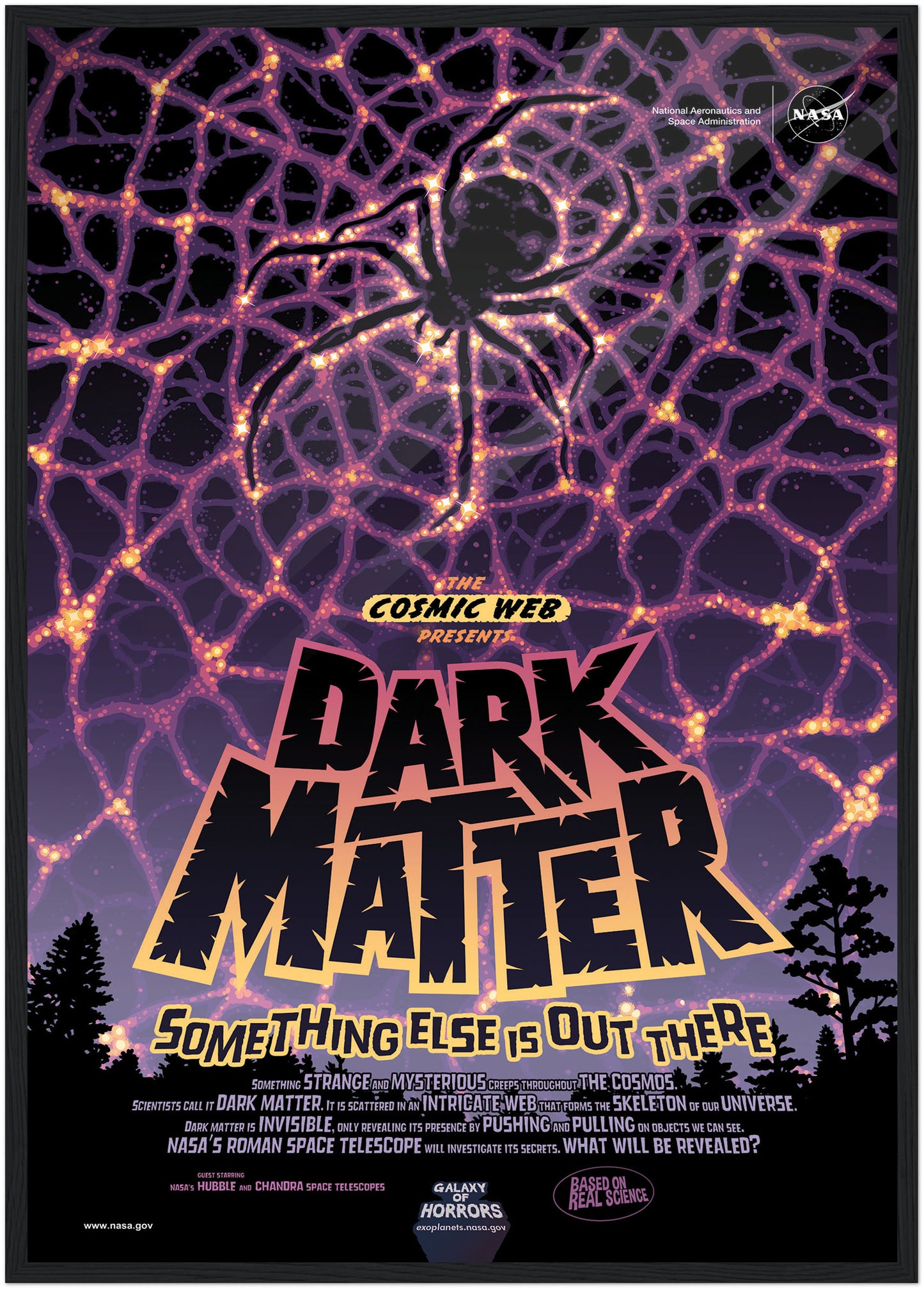 Dark Matter NASA Poster