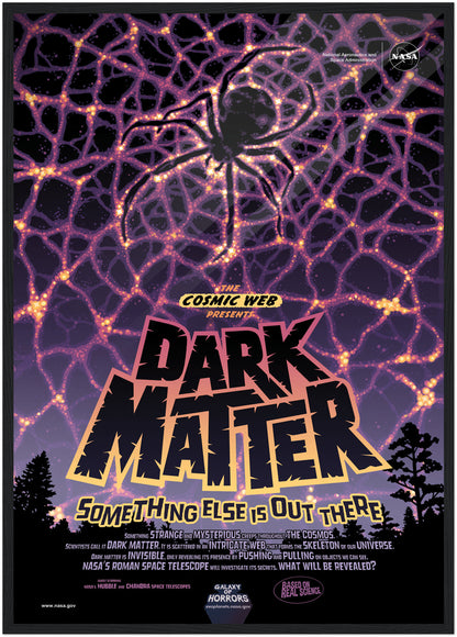 Dark Matter NASA Poster