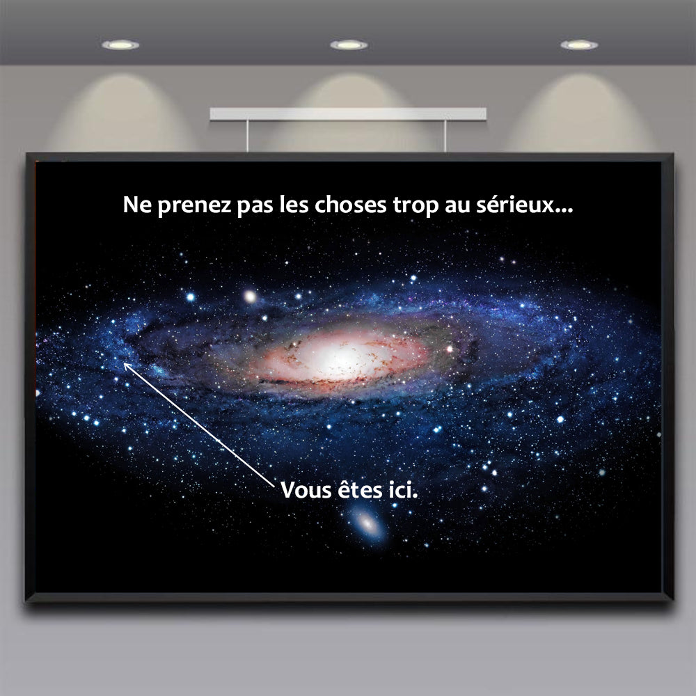 Vous Êtes Ici Dans La Voie Lactée (Poster en français)