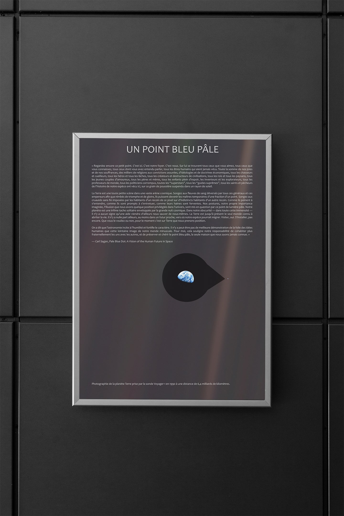 Un Point Bleu Pâle (Poster en français)