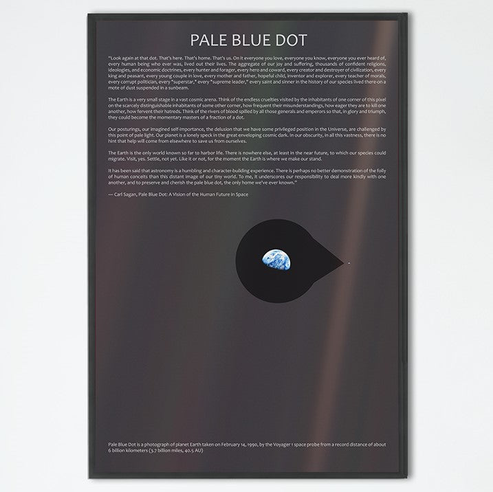 The Pale Blue Dot Poster