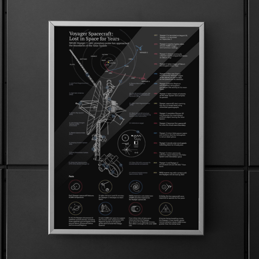 Tableau des engins spatiaux Voyager Poster (en anglais)