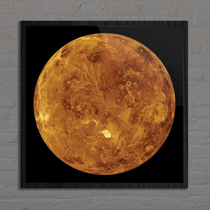 Venus Poster